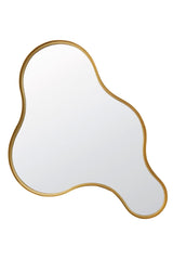 Gleaming Suva Gold Mirror - 65x4x63 cm