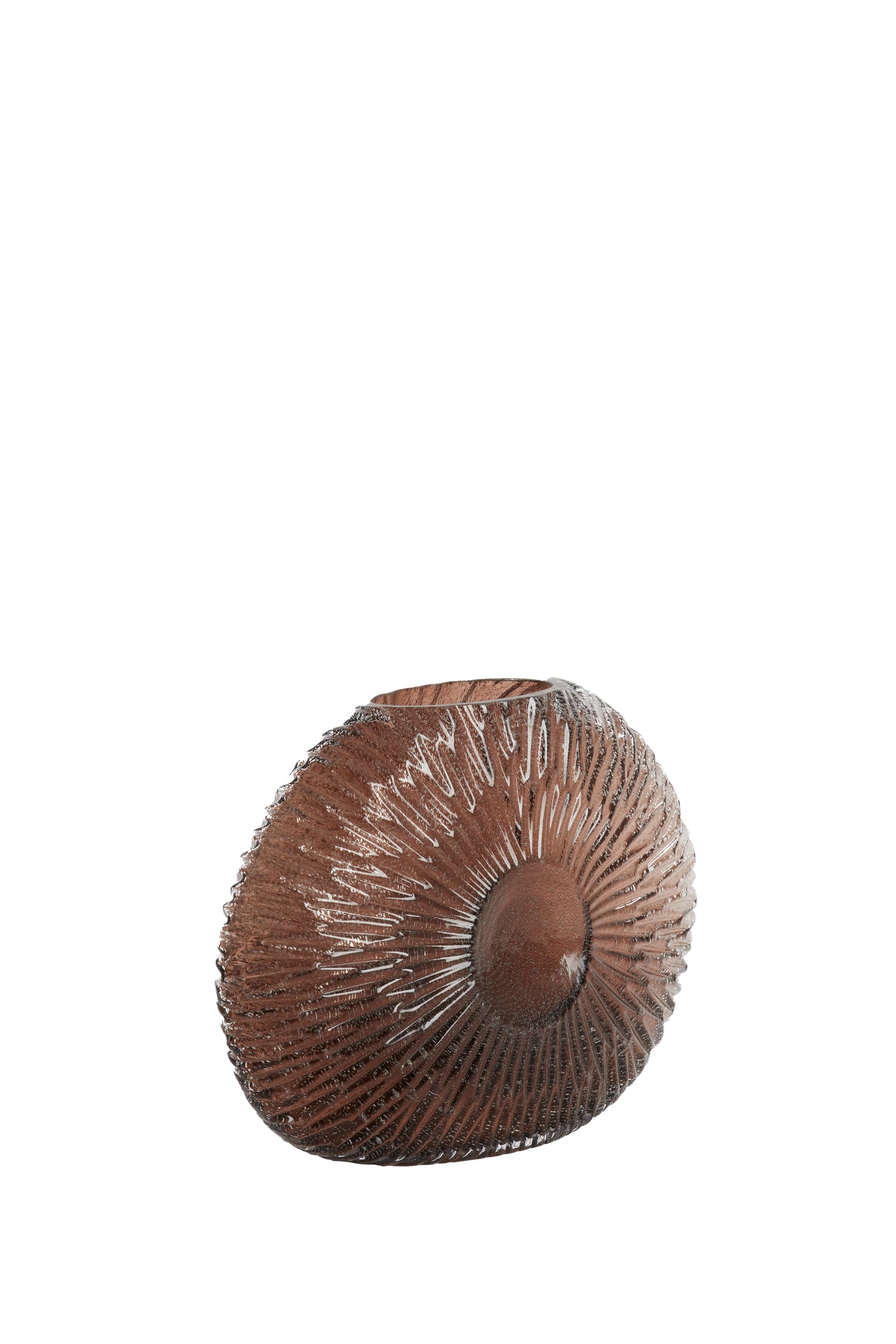 Dark Brown Concha Shell Vase 32.5x10x24 cm